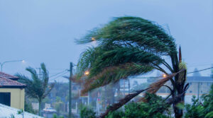 Tips To Protect Your Home From Wind Damage
